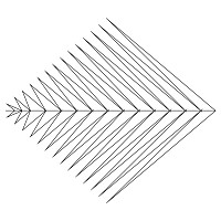 palm leaf pano 001